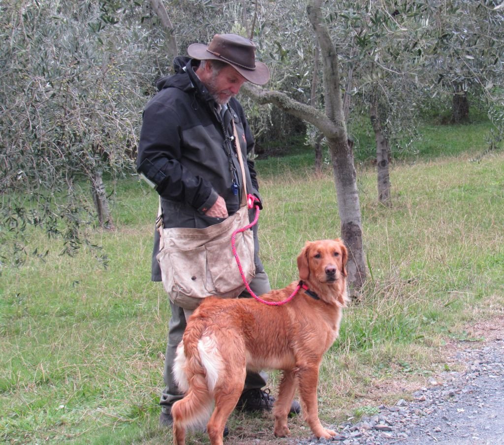 grant with arson at olive farm