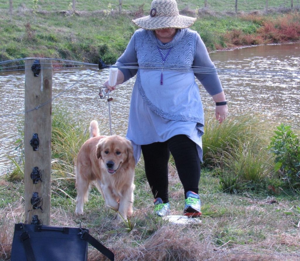 lynne & koda training riverside