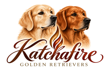 katchafire primary logo header 360px
