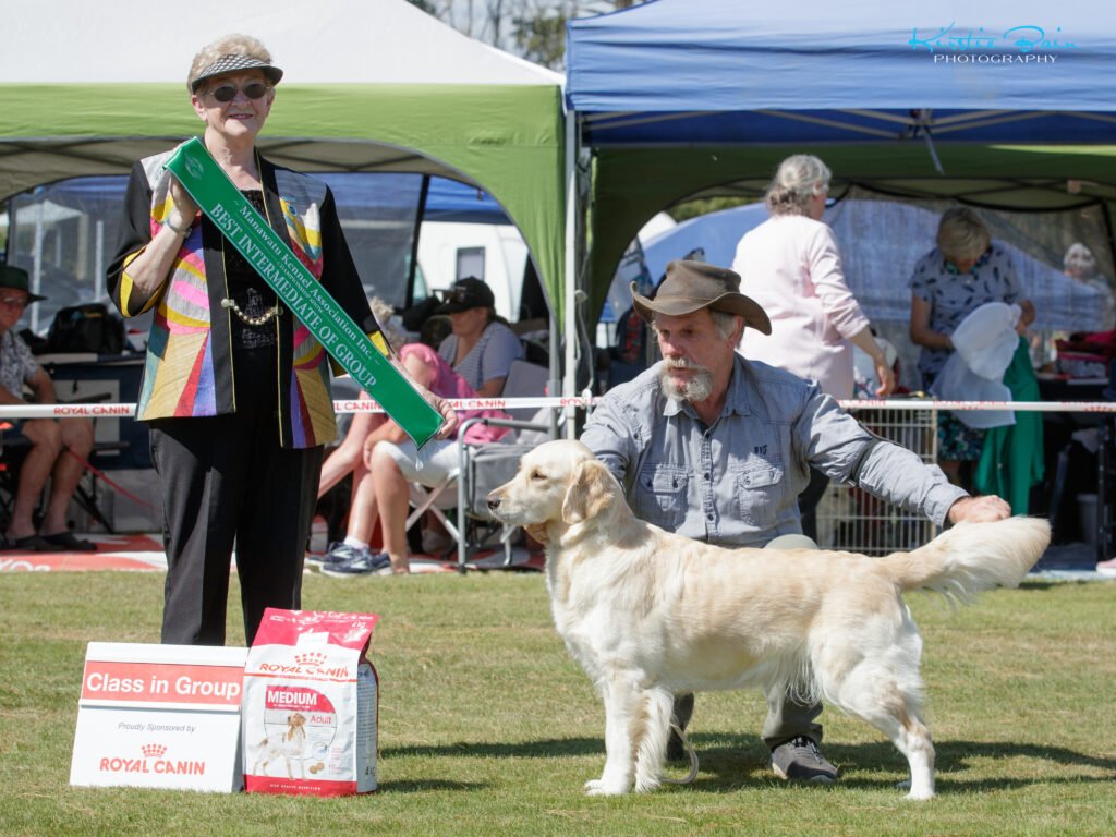 Ice, a conformation Golden Retriever, with Grant after winning Best in Group.