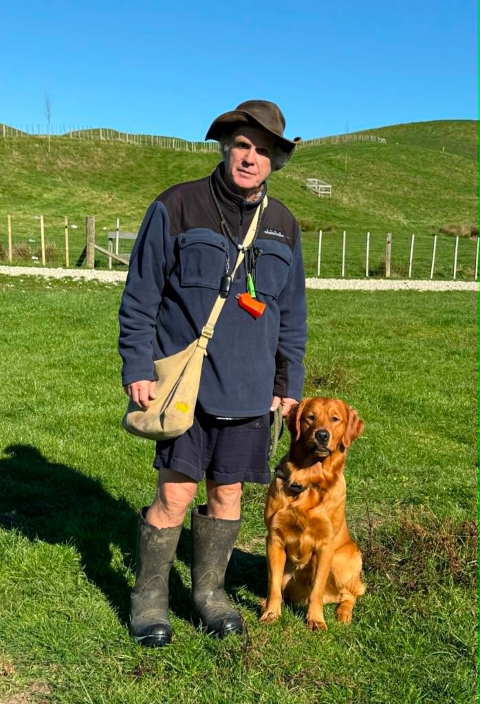 Bear, Katchafire Grizzly Bear Blue, at a gundog trial