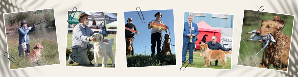 kf our breed banner