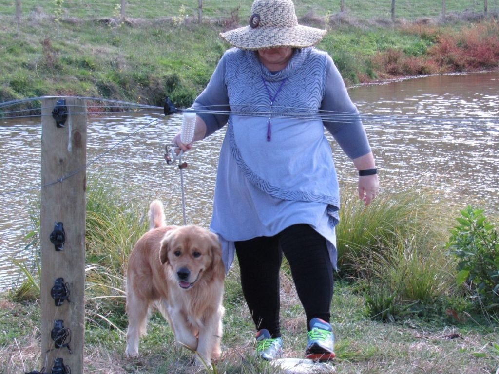 lynne & koda training riverside